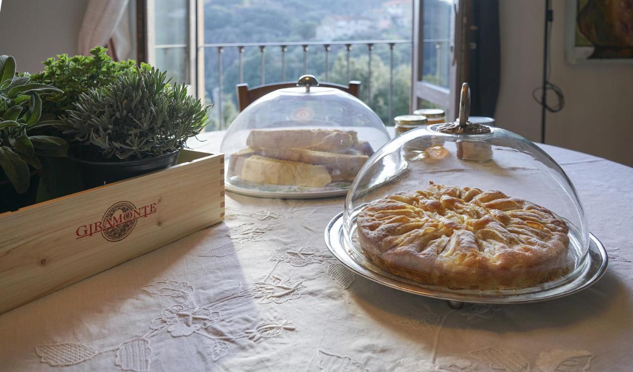 Locanda Degli Alberi Sassetta Kültér fotó
